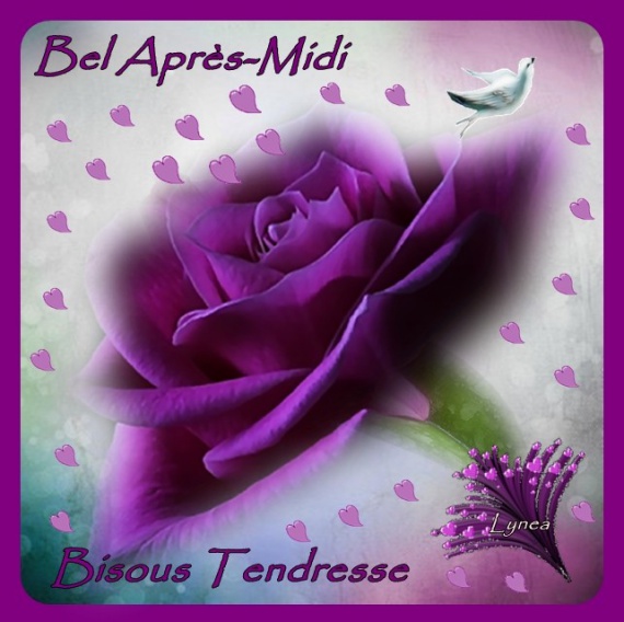 Bel après-midi violet bisous tendresse.jpg