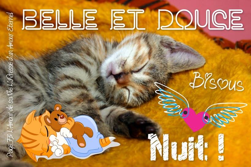Belle et douce nuit mimi.jpg