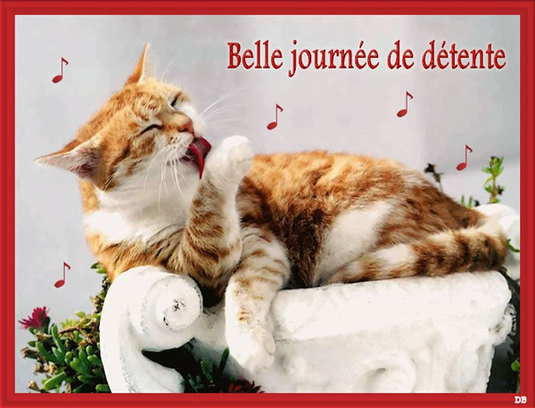 Belle journée.jpg
