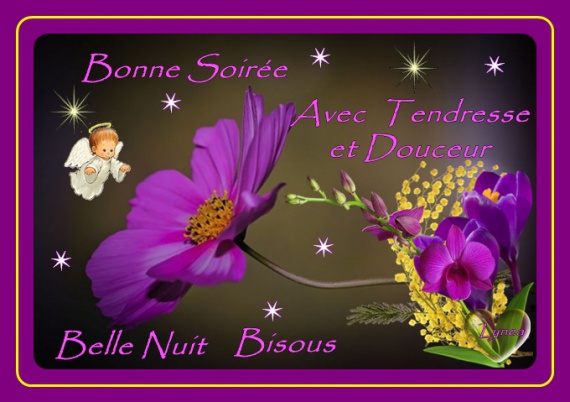 Belle nuit bisous.jpg