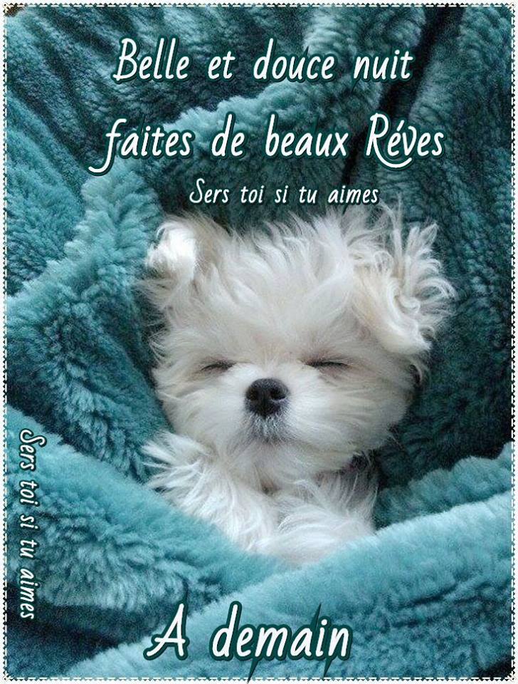 Belle nuit mimi.jpg