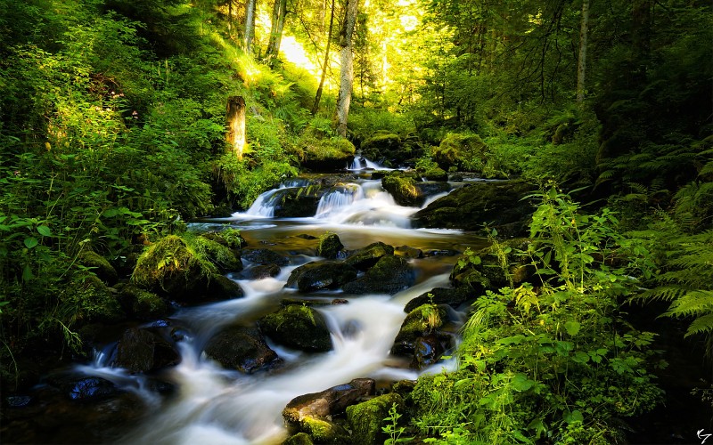 Belle rivière.jpg