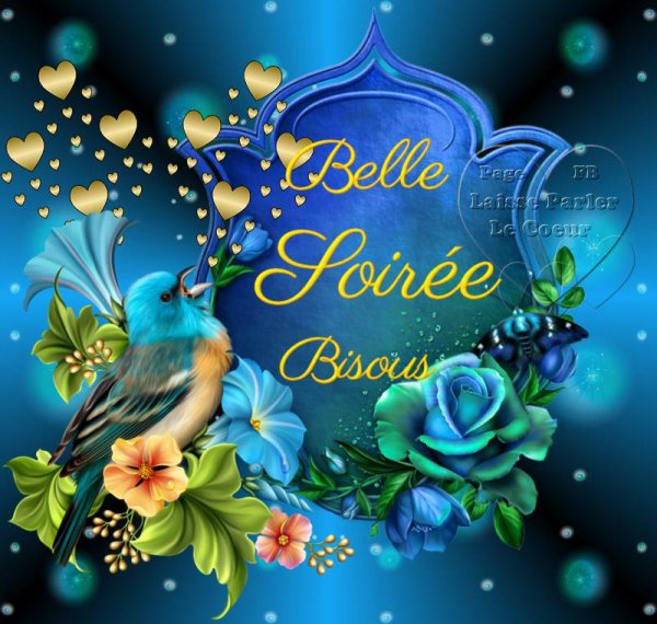 Belle soirée 24.jpg