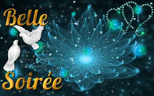 Belle soirée jolie.png