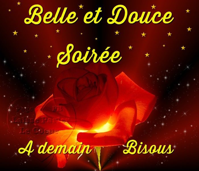 Belle soirée.jpg