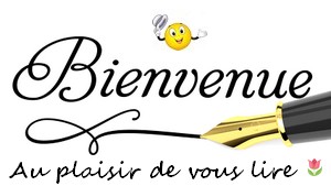 bienvenue.jpg
