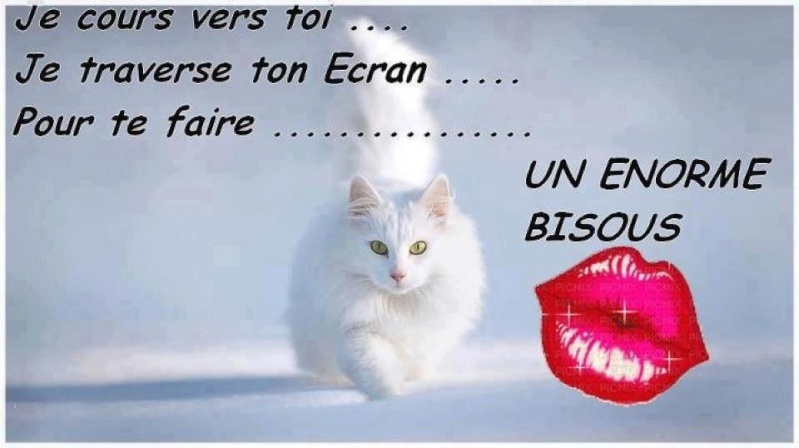 bisous chat 2.jpg