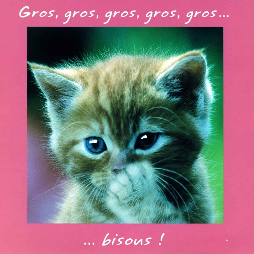 bisous GROS.jpg