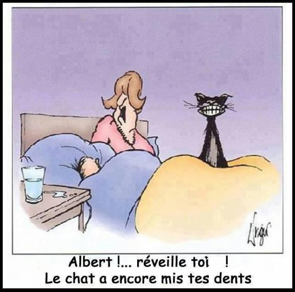 Blague 24.jpg