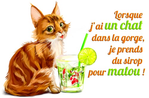 blague-carte-virtuelle.jpg
