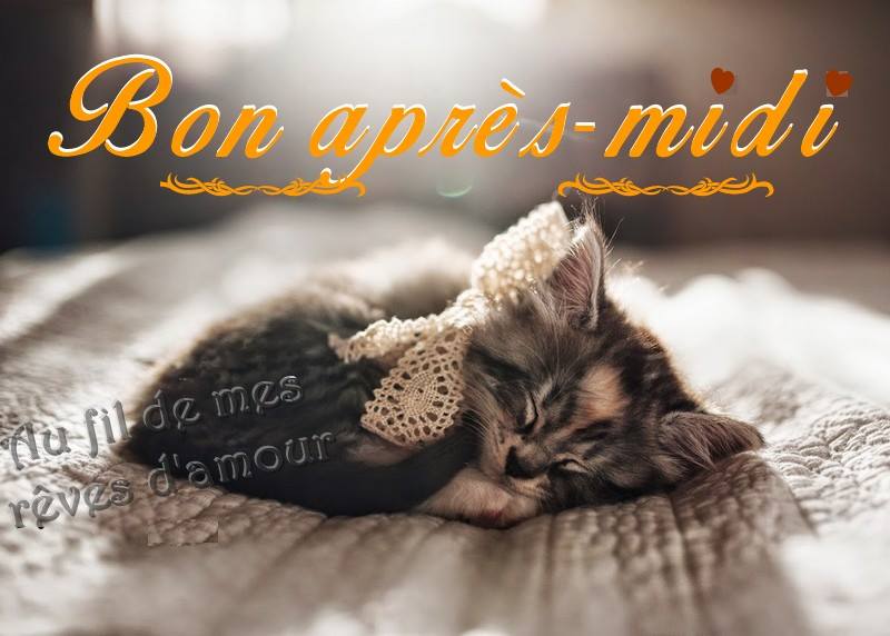 Bon après-midi mimi.jpg