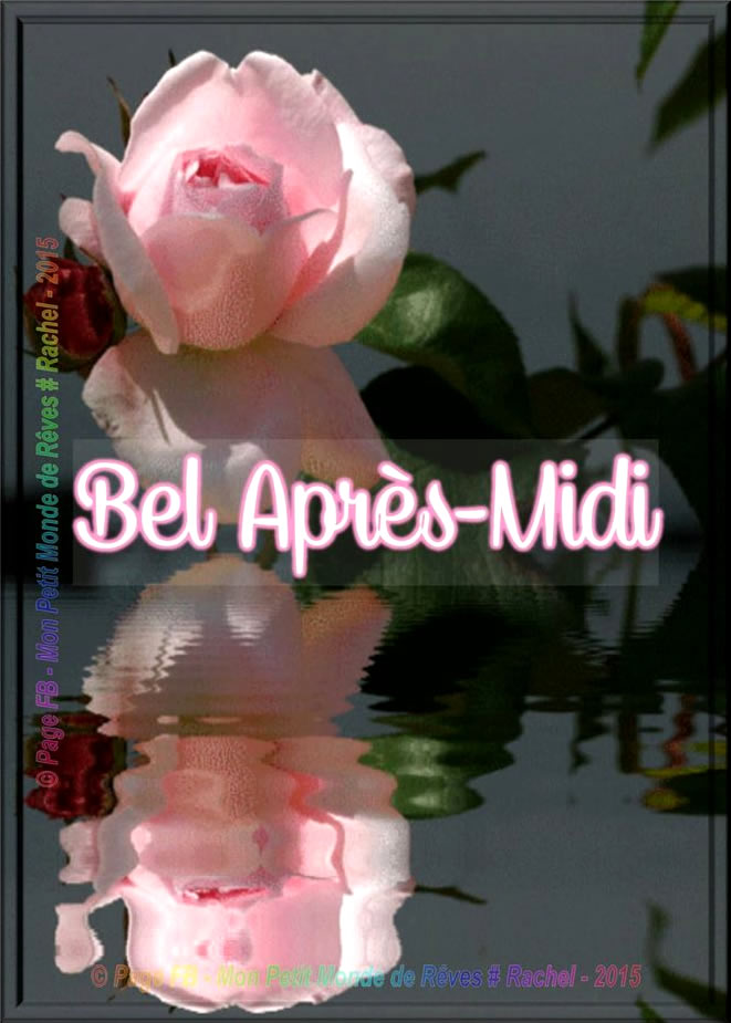 bon-apres-midi rose.jpg