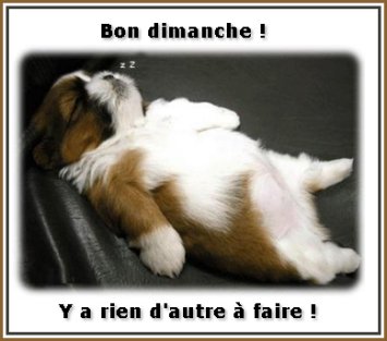 Bon dimanche 1.jpg