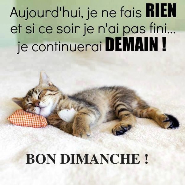 Bon dimanche 22.jpg