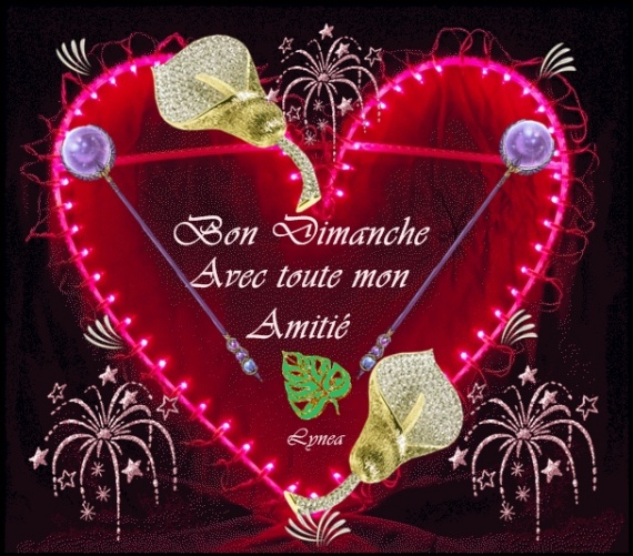 bon dimanche.jpg