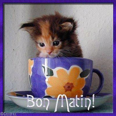 Bon matin mimi.jpg