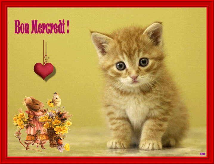 Bon mercredi 2.gif