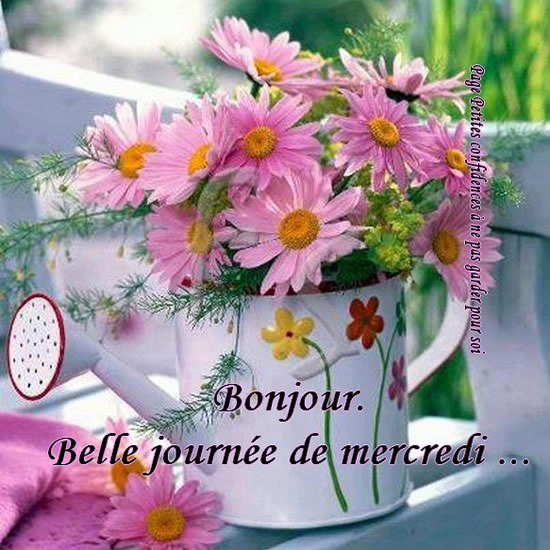 bon mercredi.jpg