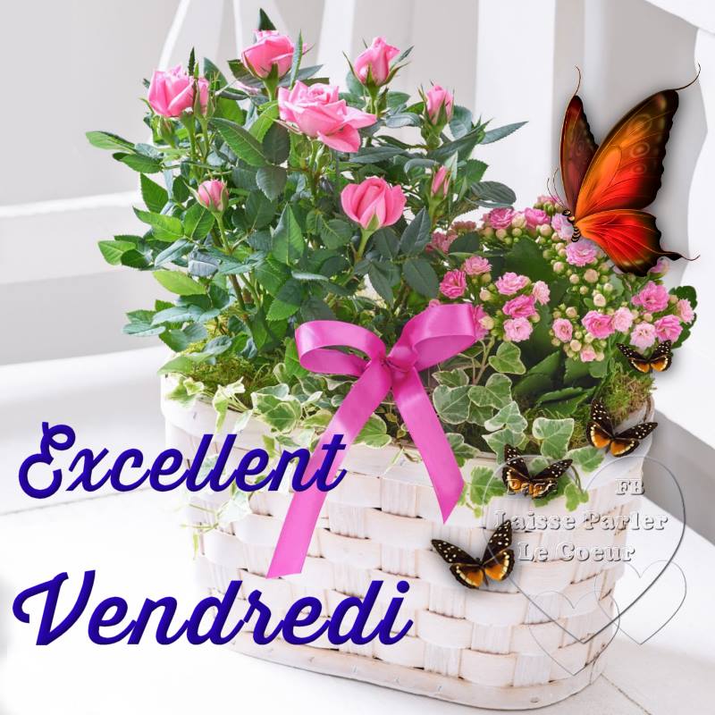 Bon vendredi.jpg