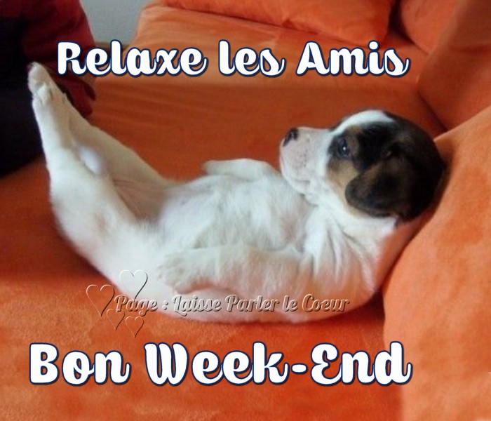 bon WE.jpg