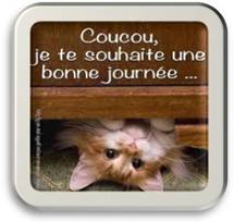 Bonjour.jpg