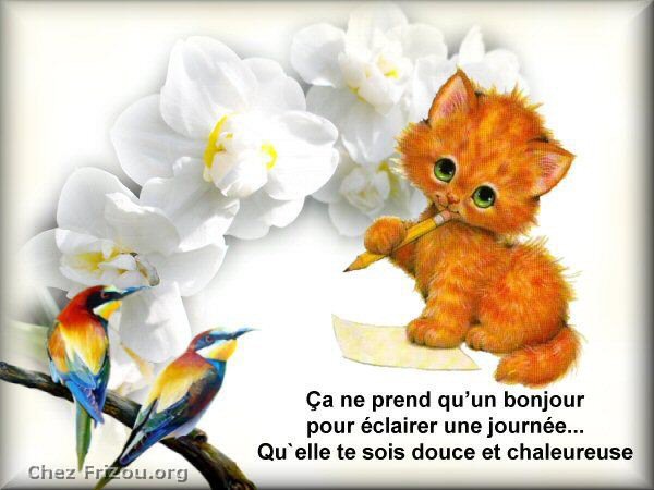 Bonjour mimi.jpg