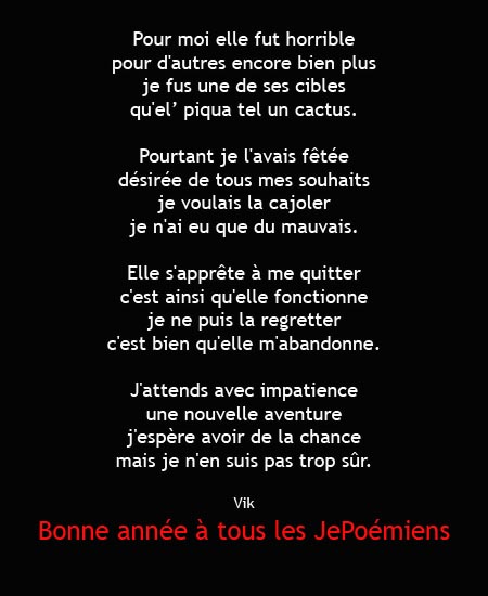 bonne année.jpg