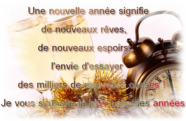 bonne année superbe.jpg