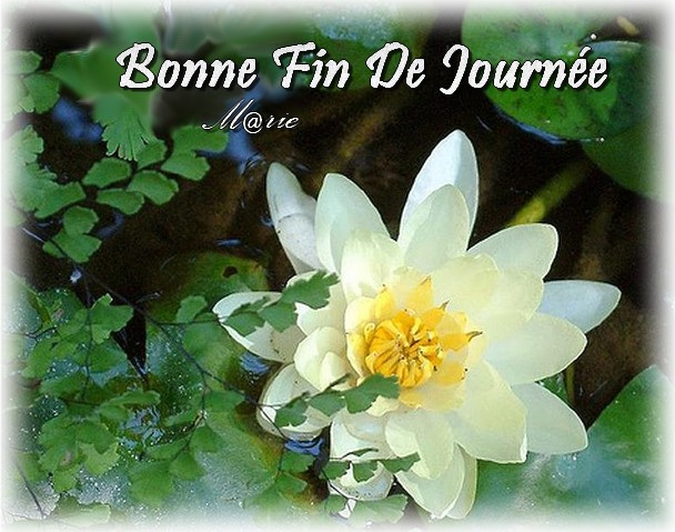 Bonne fin de journée 22.jpg