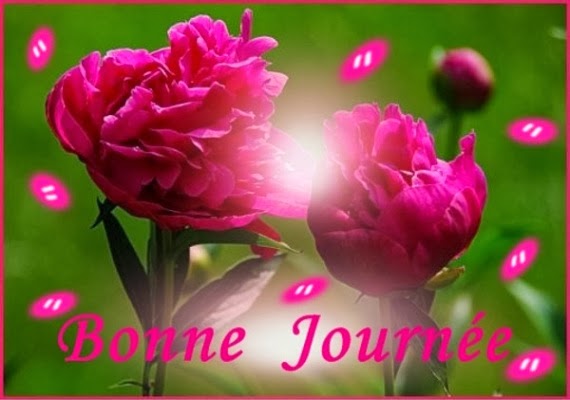bonne journée 22.jpg