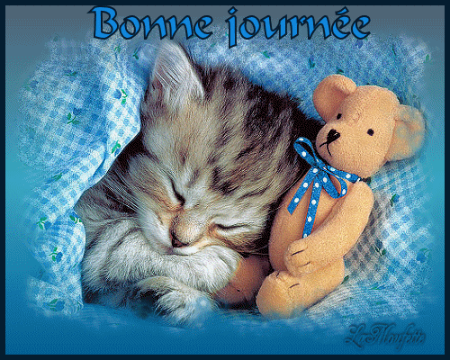 Bonne journée chat mimi.gif