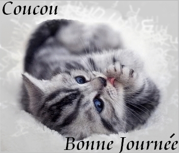 Bonne journée coucou  mimi.jpg