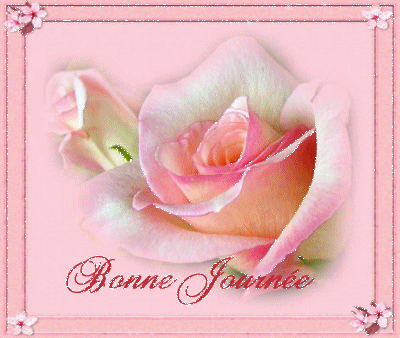 bonne journée joli rose.gif