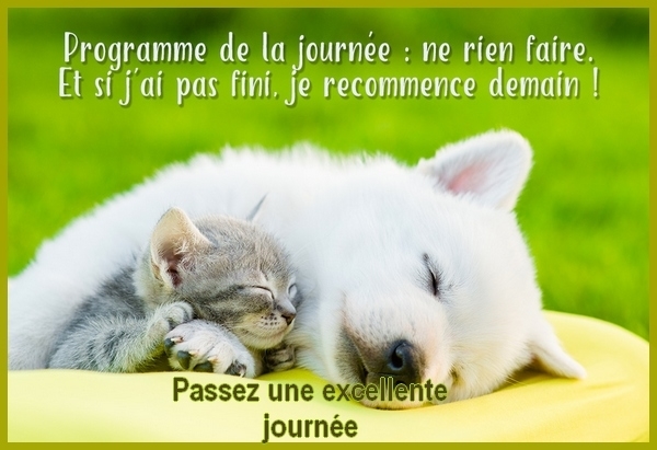 bonne journée super 2.jpg