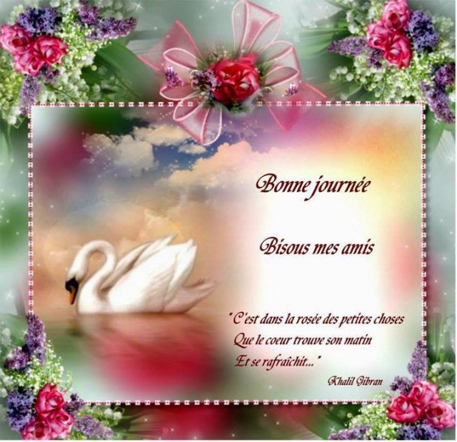 Bonne journée super.jpg