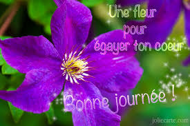Bonne journée       Une fleur.jpe