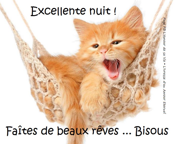 Bonne nuit   excellente.jpg