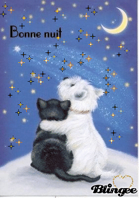 bonne nuit.gif
