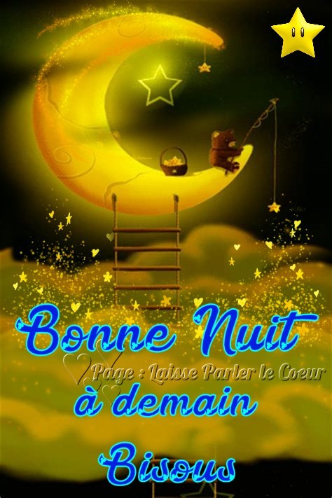 bonne-nuit_295.jpg