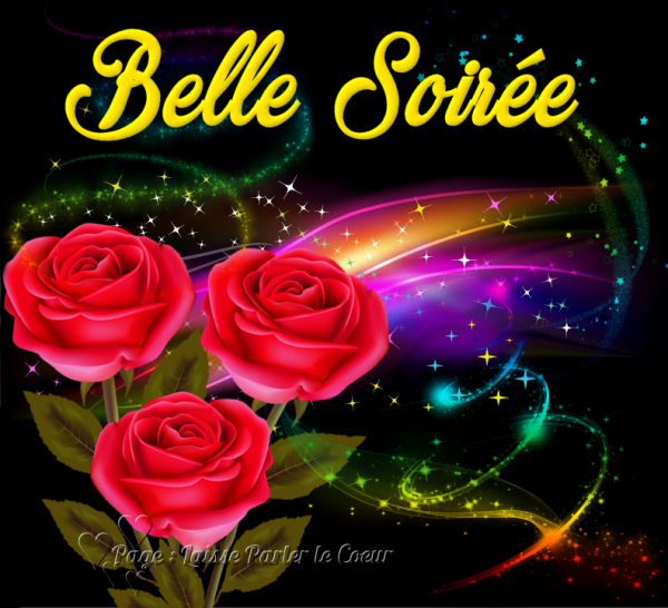 Bonne soirée 16.png