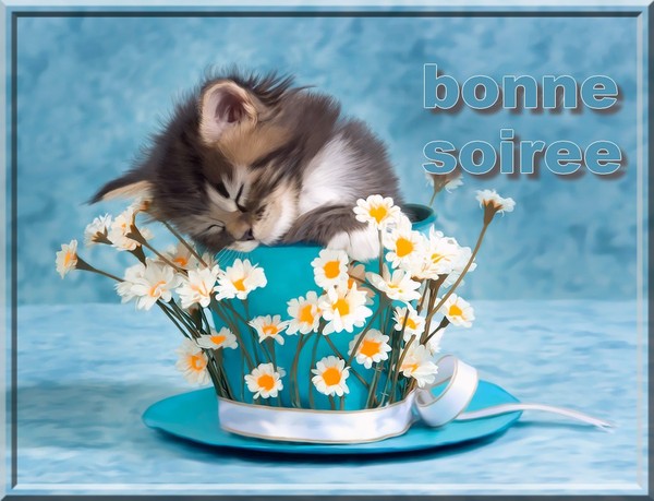 bonne soirée 24.jpg