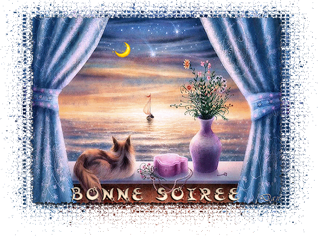 Bonne soirée.gif