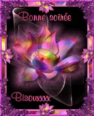 Bonne soirée Joli.jpg