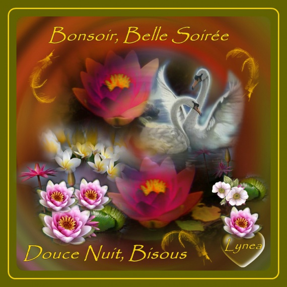 bonsoir et belle soirée.jpg