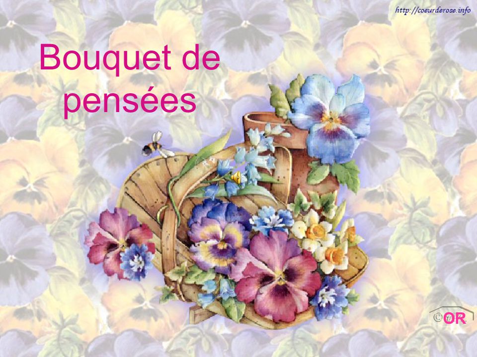 Bouquet+de+pensées.jpg