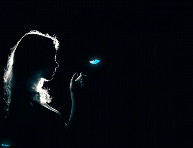Butterfly Animation.gif
