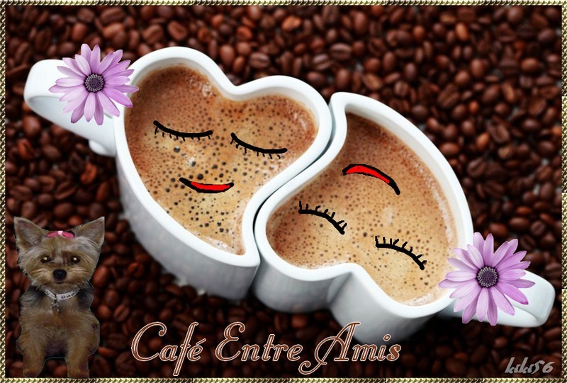 café 2.jpg