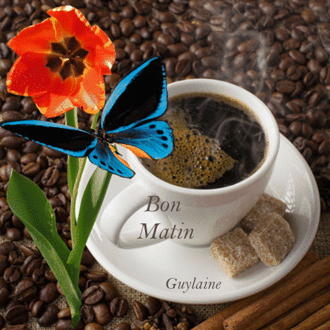 café.gif