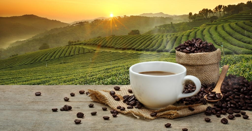 café &.jpg