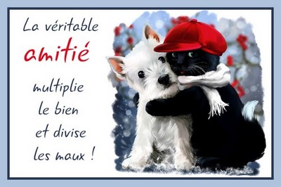 carte-virtuelle-amitie.jpg